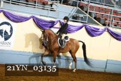21YN_03135 thumbnail