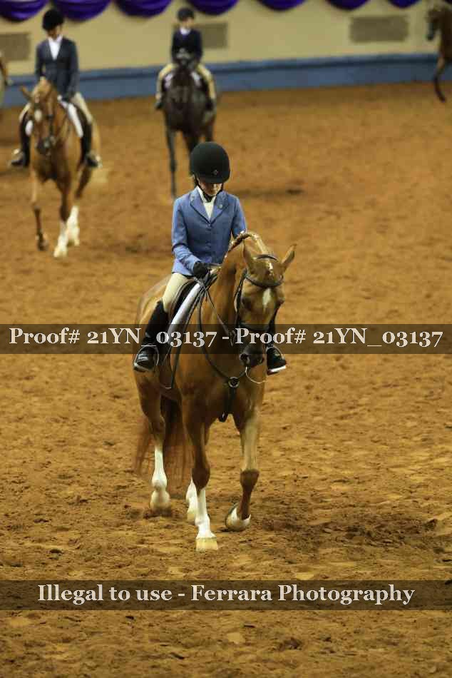 Proof Number 21YN_03137