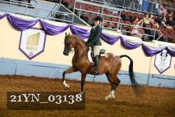 21YN_03138 thumbnail