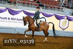21YN_03139 thumbnail