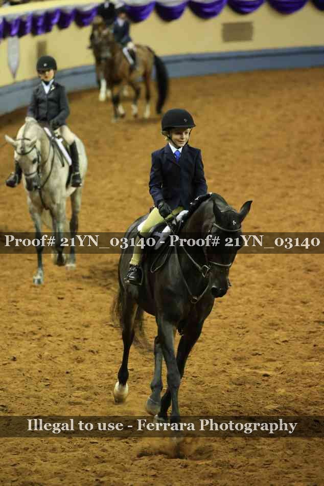 Proof Number 21YN_03140
