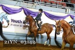 21YN_03142 thumbnail