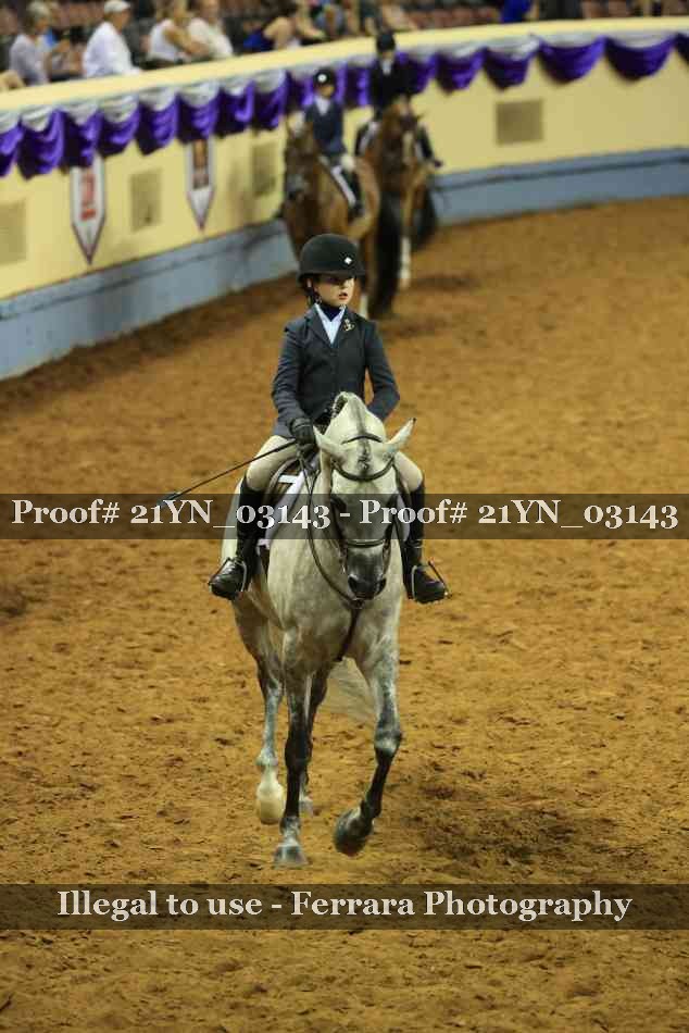 Proof Number 21YN_03143