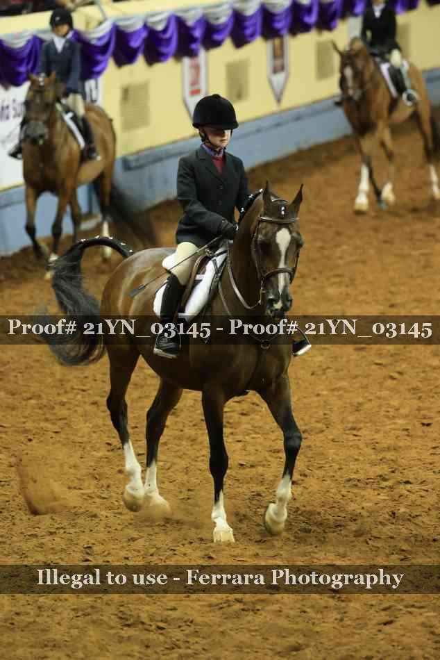 Proof Number 21YN_03145
