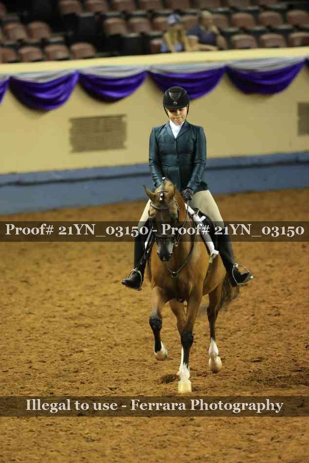 Proof Number 21YN_03150