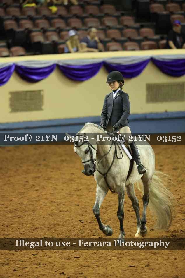 Proof Number 21YN_03152