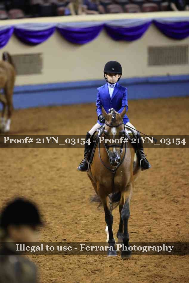 Proof Number 21YN_03154