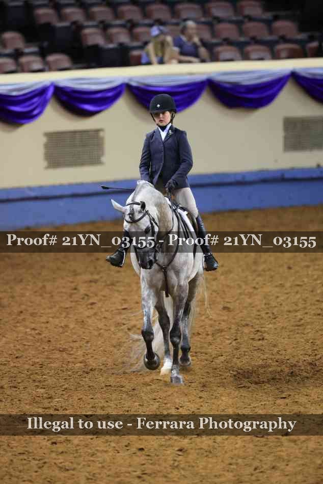 Proof Number 21YN_03155
