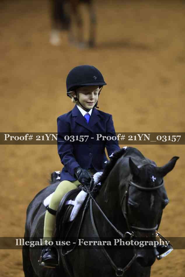 Proof Number 21YN_03157