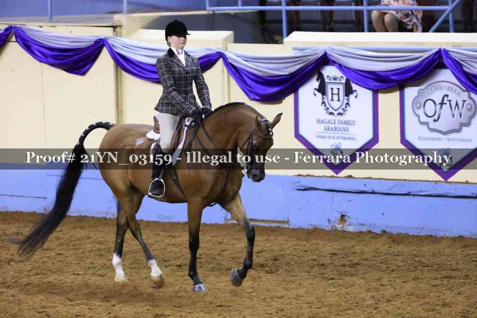 Proof Number 21YN_03159