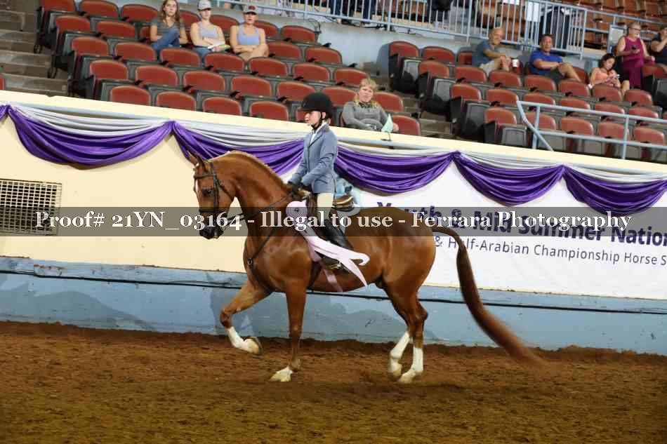 Proof Number 21YN_03164