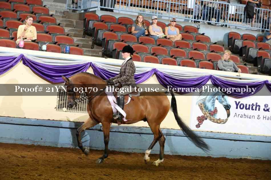 Proof Number 21YN_03170