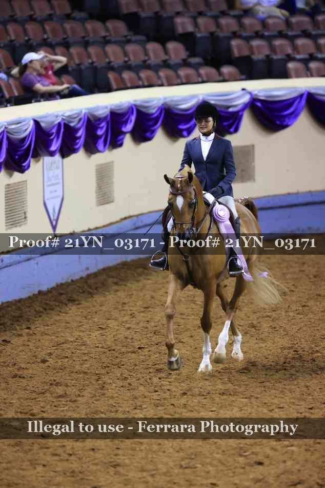 Proof Number 21YN_03171