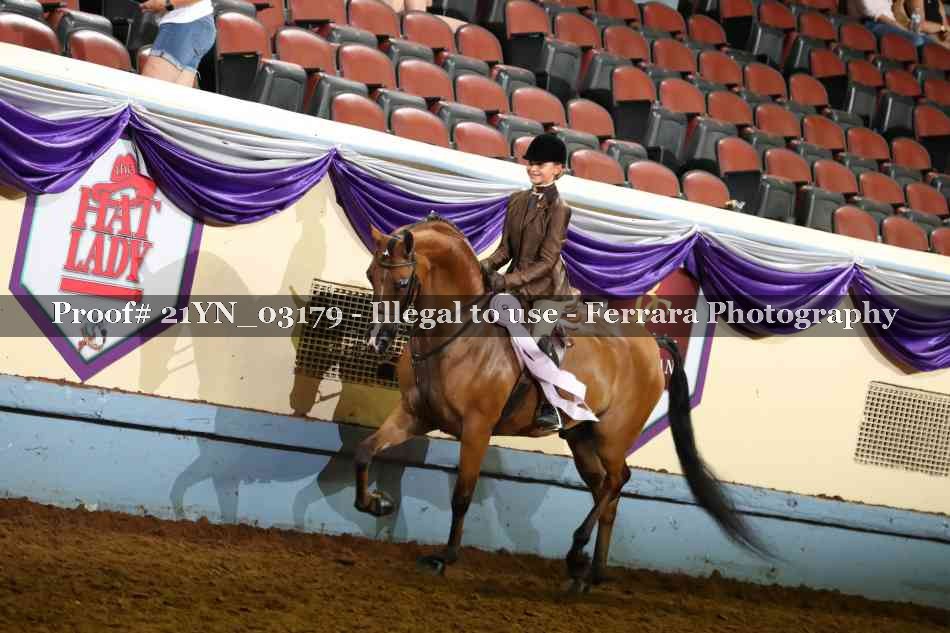 Proof Number 21YN_03179