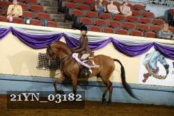 21YN_03182 thumbnail