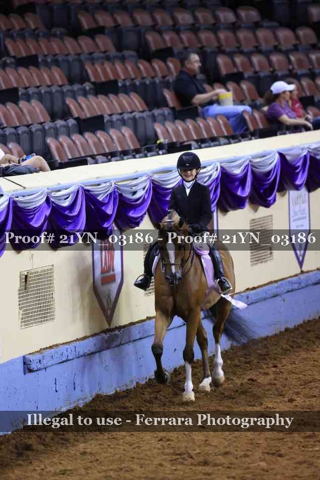Proof Number 21YN_03186