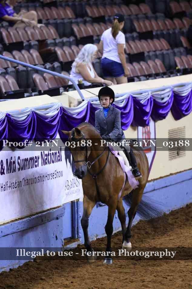 Proof Number 21YN_03188