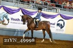 21YN_49998 thumbnail