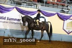 21YN_50008 thumbnail