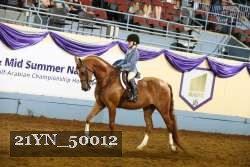 21YN_50012 thumbnail