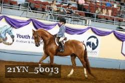 21YN_50013 thumbnail
