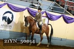 21YN_50014 thumbnail