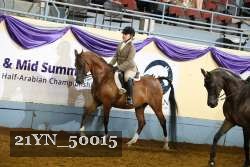 21YN_50015 thumbnail