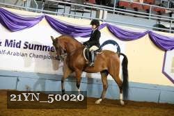 21YN_50020 thumbnail