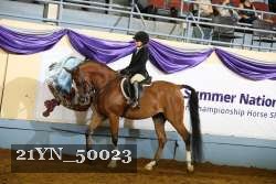 21YN_50023 thumbnail