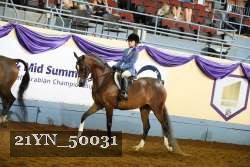 21YN_50031 thumbnail