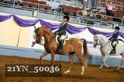 21YN_50036 thumbnail