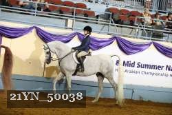 21YN_50038 thumbnail