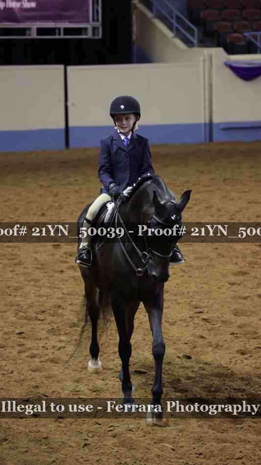 Proof Number 21YN_50039