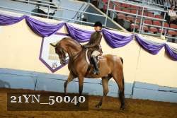 21YN_50040 thumbnail