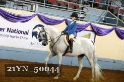 21YN_50044 thumbnail