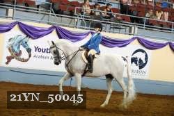21YN_50045 thumbnail