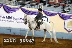 21YN_50047 thumbnail