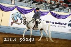 21YN_50048 thumbnail