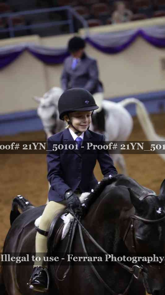 Proof Number 21YN_50101