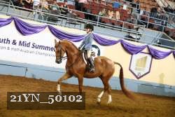 21YN_50102 thumbnail