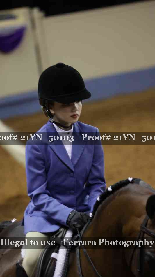 Proof Number 21YN_50103