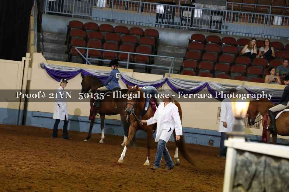 Proof Number 21YN_50135