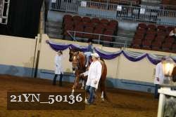 21YN_50136 thumbnail