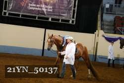 21YN_50137 thumbnail