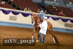 21YN_50138 thumbnail
