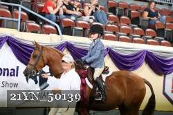 21YN_50139 thumbnail