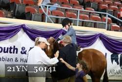 21YN_50141 thumbnail