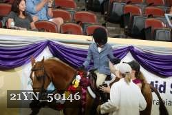 21YN_50146 thumbnail