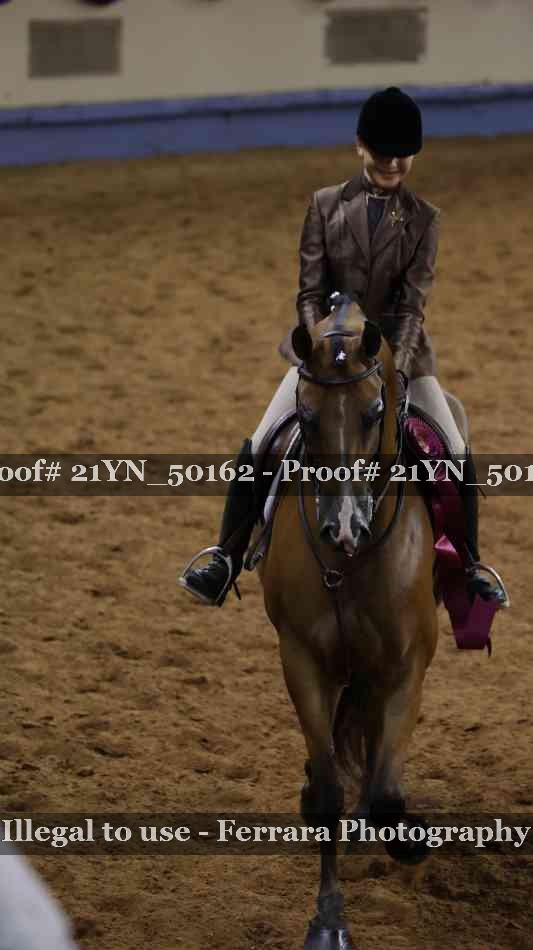 Proof Number 21YN_50162