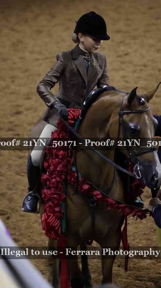 Proof Number 21YN_50171